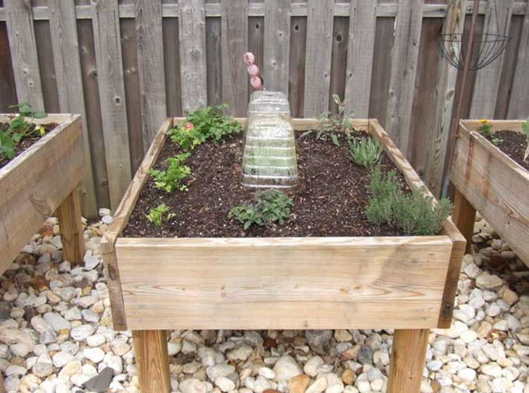 Leggy Raised Garden Bed