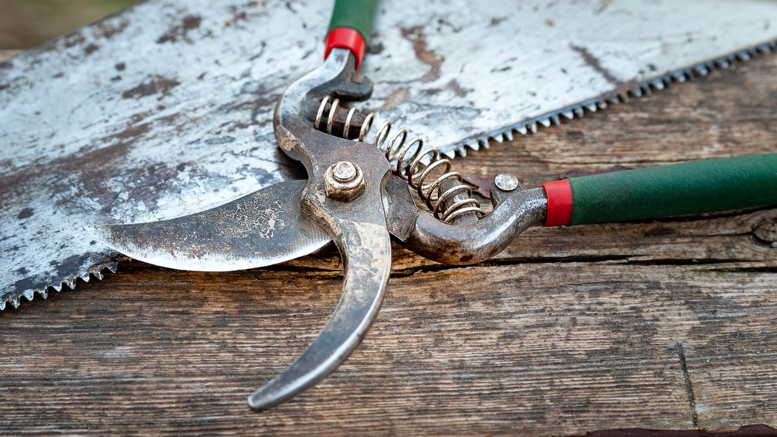 Remove rust from garden tools.