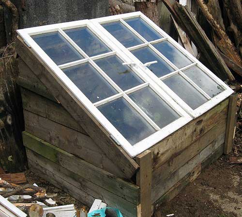 Pallet and Window Cold Frame