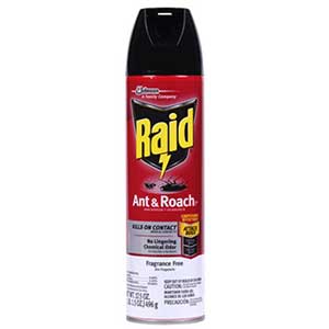 Raid