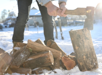 How to break down a fallen tree