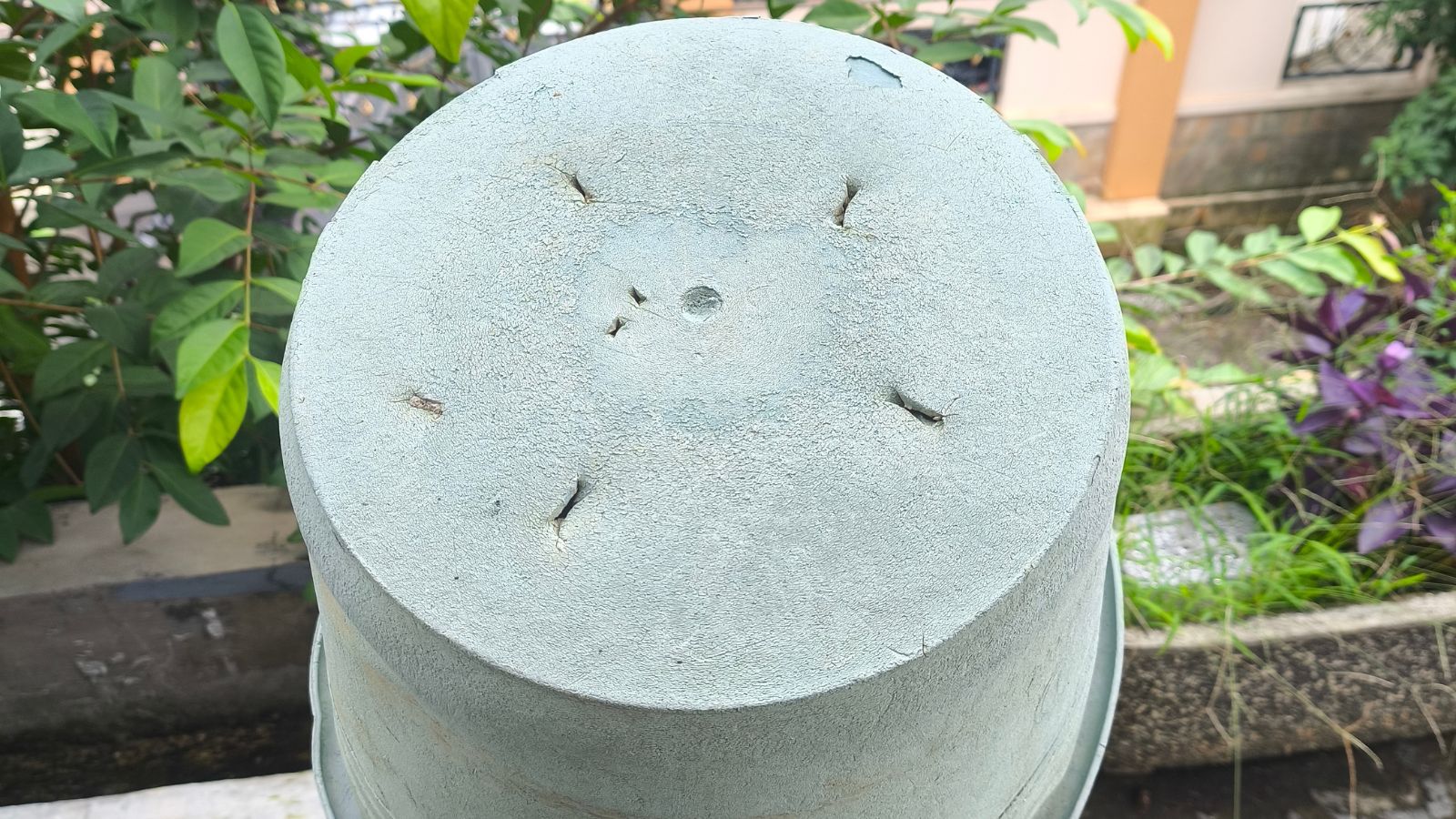 A close-up and overhead shot of a plastic container with slits as drainage holes