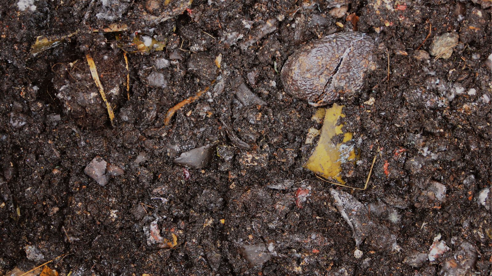 A close-up and overhead shot of a ready compost, made from food scraps and bran