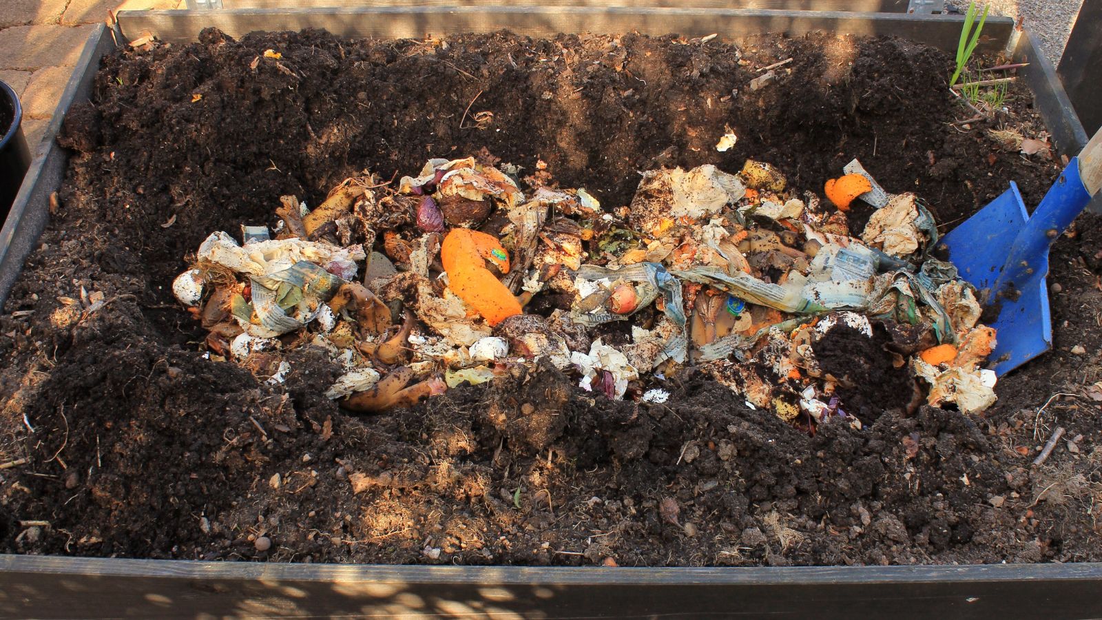 An overhead and close-up shot of a pre-compost, being buried in soil outdoors