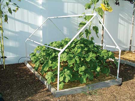Another A-Frame PVC Greenhouse