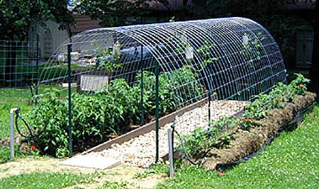 Cattle Panel Hoop Greenhouse