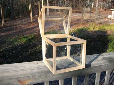 Greenhouse Box