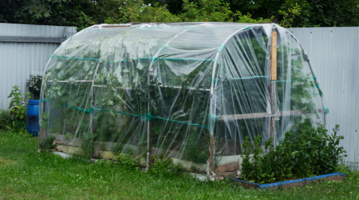 DIY greenhouse to inspire plans for building one