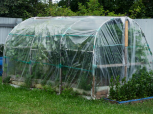 DIY greenhouse to inspire plans for building one