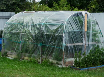 DIY greenhouse to inspire plans for building one