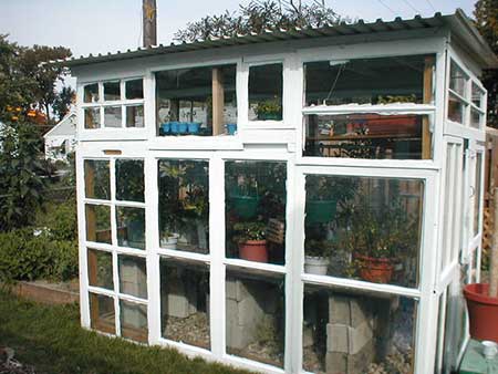 Old Window Pane Greenhouse