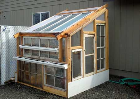 Reclaimed Wood And Window Greenhouse