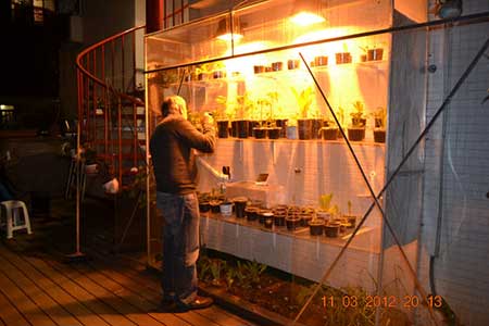 Slender Wall-Side Greenhouse