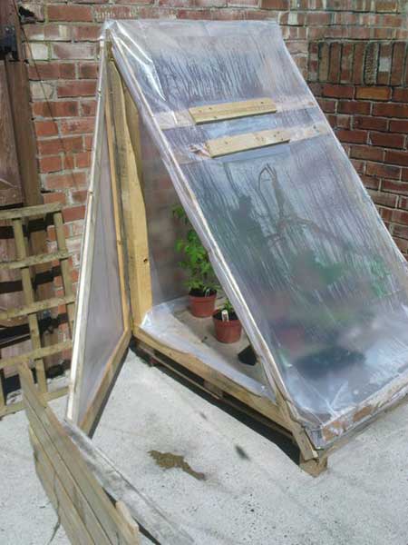 Triangular Pallet Greenhouse