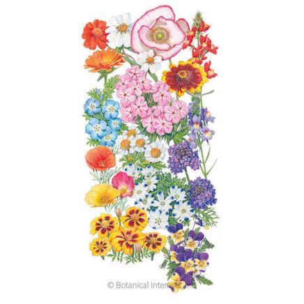 Three-Season Bloom Flower Mix