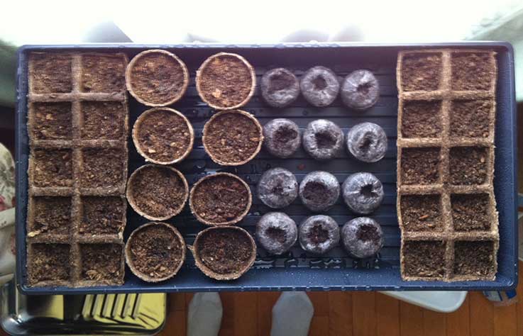 Variety of peat pots