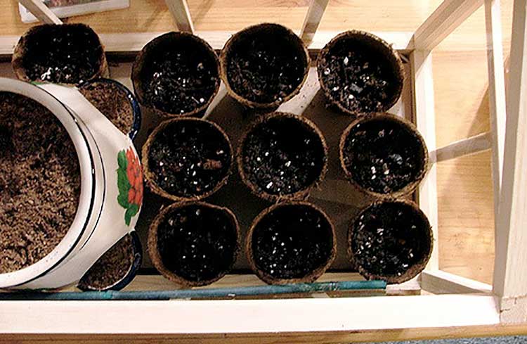 Commercial peat pots