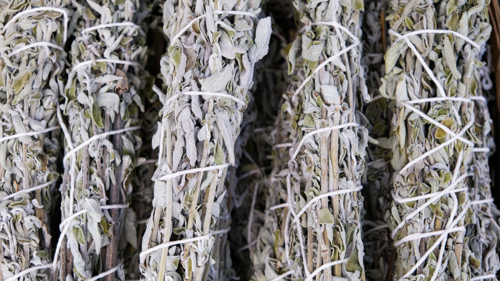 A pile of tied up white leaves, appearing dried and bundled tightly, having various plant material 