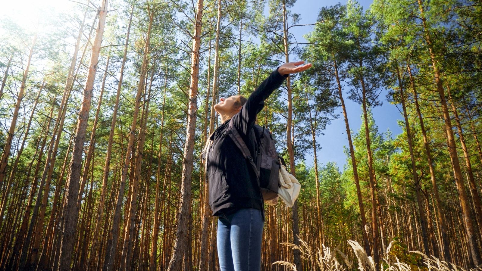 A close-up and base-angle shot of a happy person with arms wide open, in a large tree forest area, showcasing ecotherapy