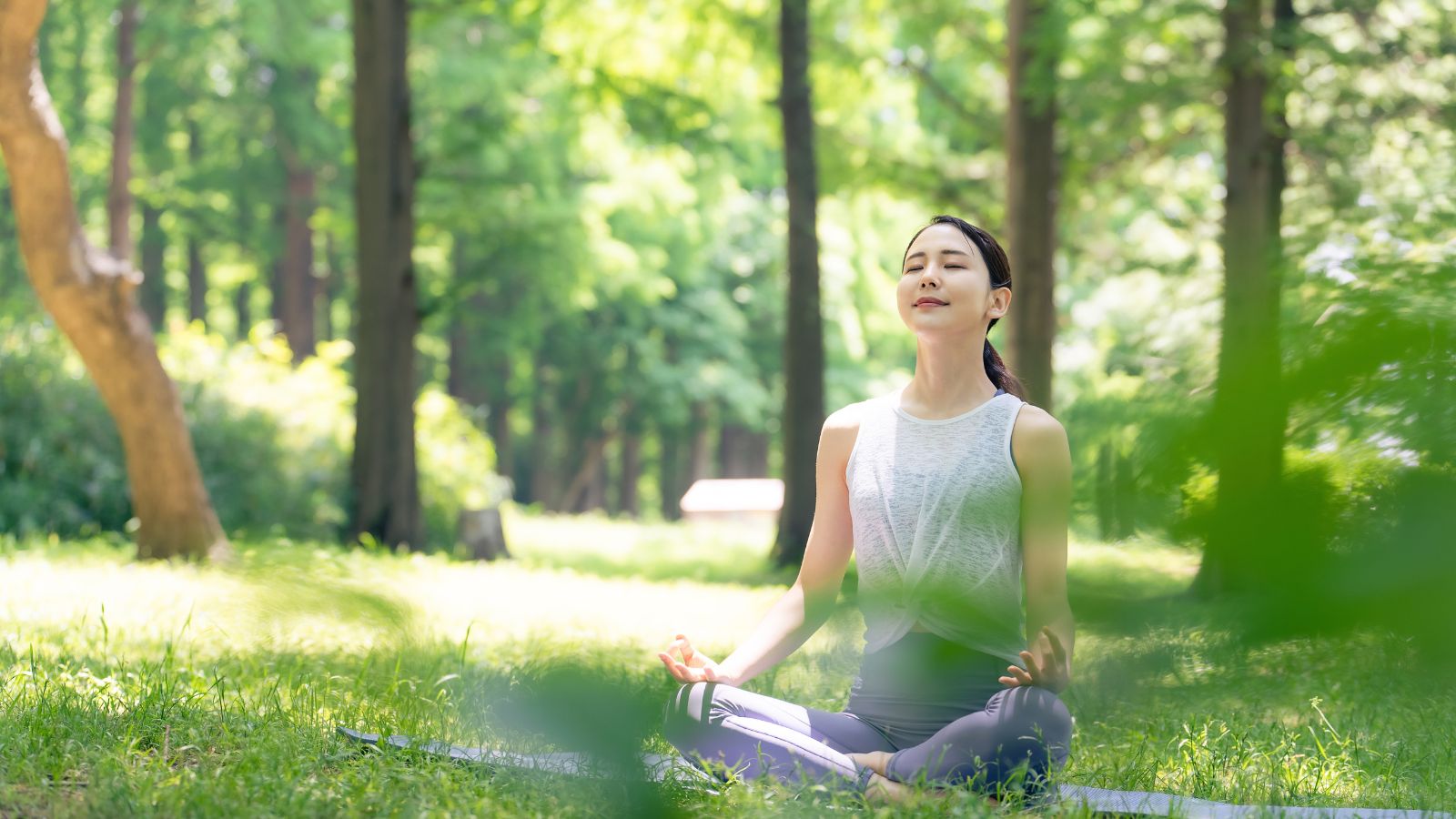 A close-up shot of a person in the middle of a tree forest, meditating and breathing in fresh air