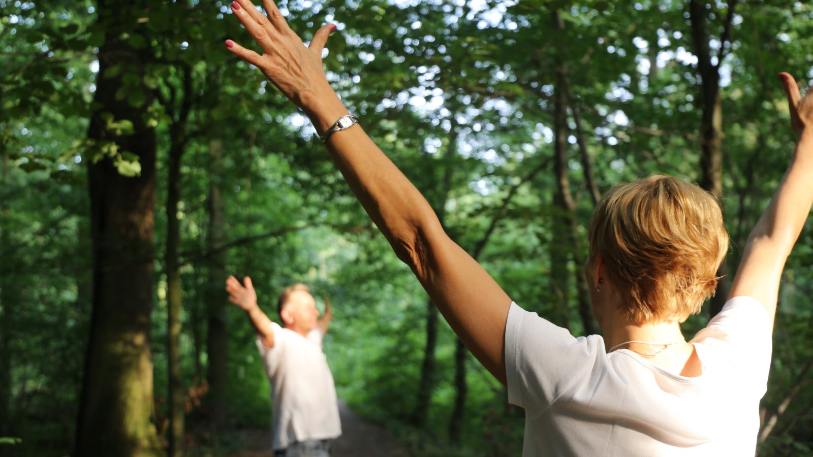 A close-up shot of two elderly couple breathing fresh air in a large tree forest area