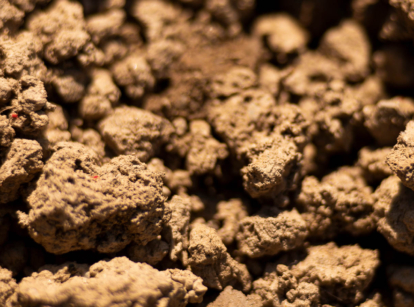 Clay soil in the garden.