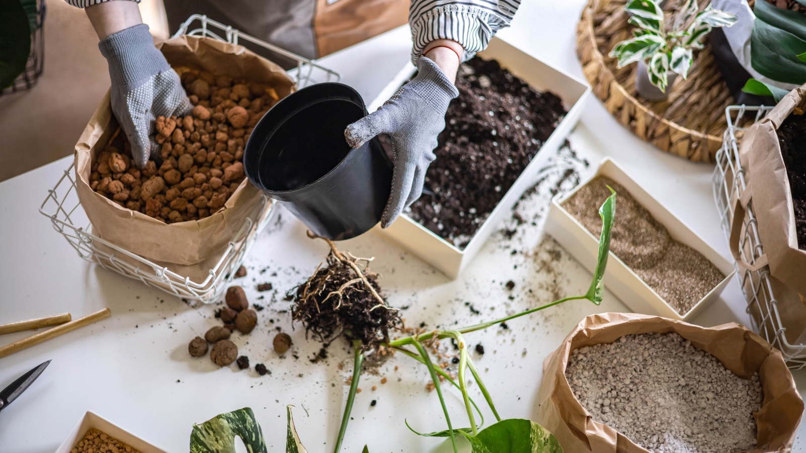 A tabletop scene where potting soil is being mixed, with small piles of soil, clay pebbles, and various gardening tools, ready for planting activities.