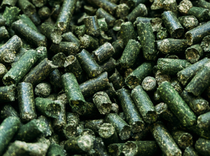 Green alfalfa pellets made from alfalfa crop.