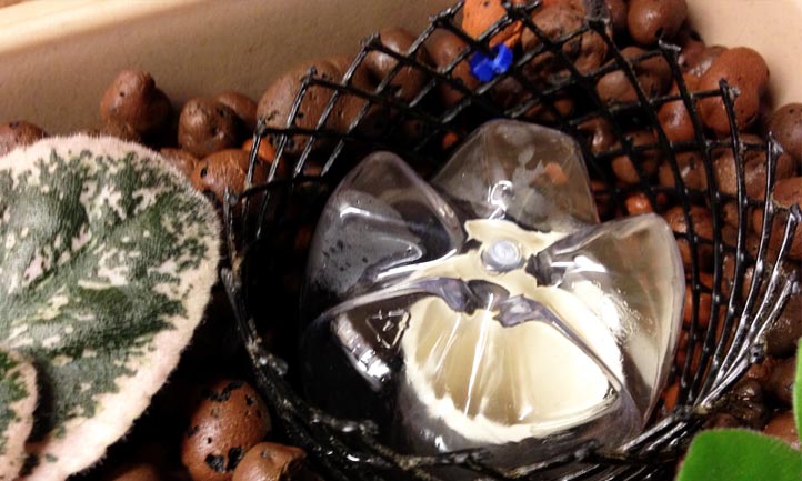 Hydroponic Bell Siphon