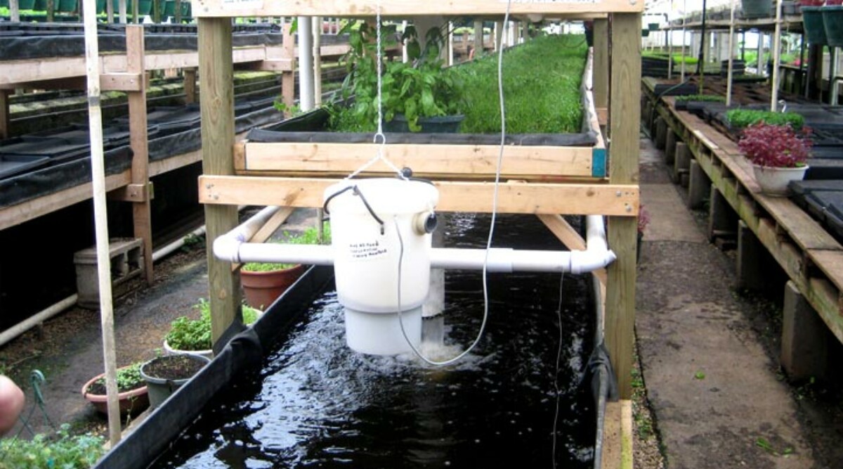 Outdoor Aquaponics System