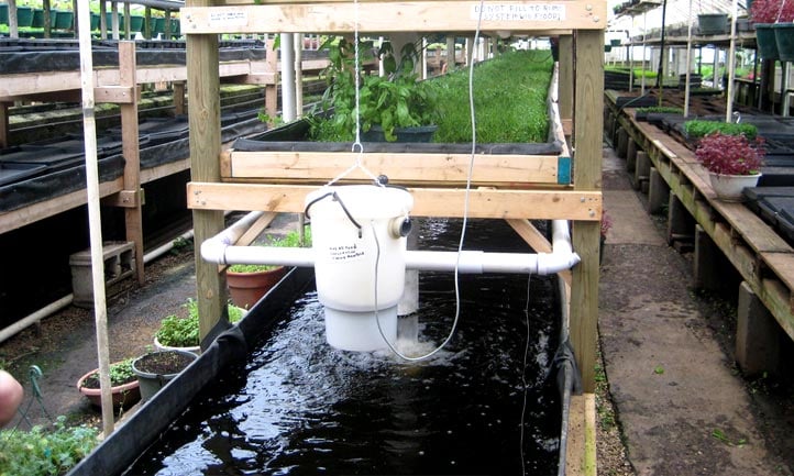 Outdoor Aquaponics System