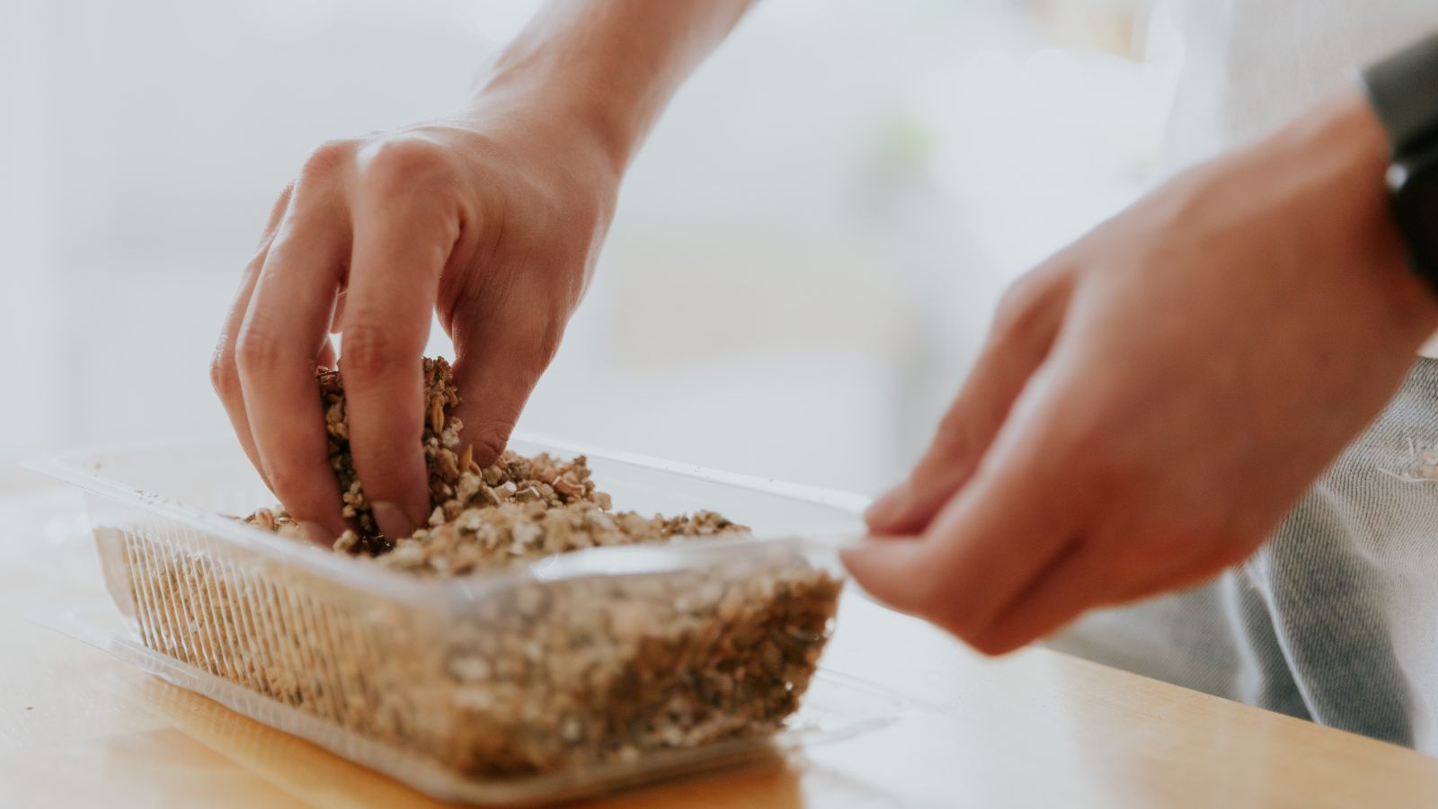 A shot of a person planting seeds in a soilless container in an area indoors