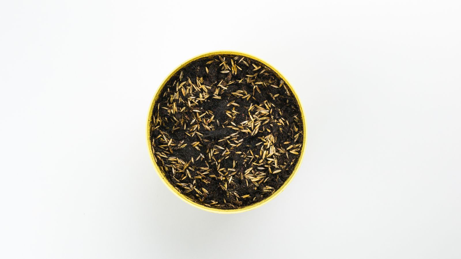 An overhead shot of seeds of a plant in a pot with soil