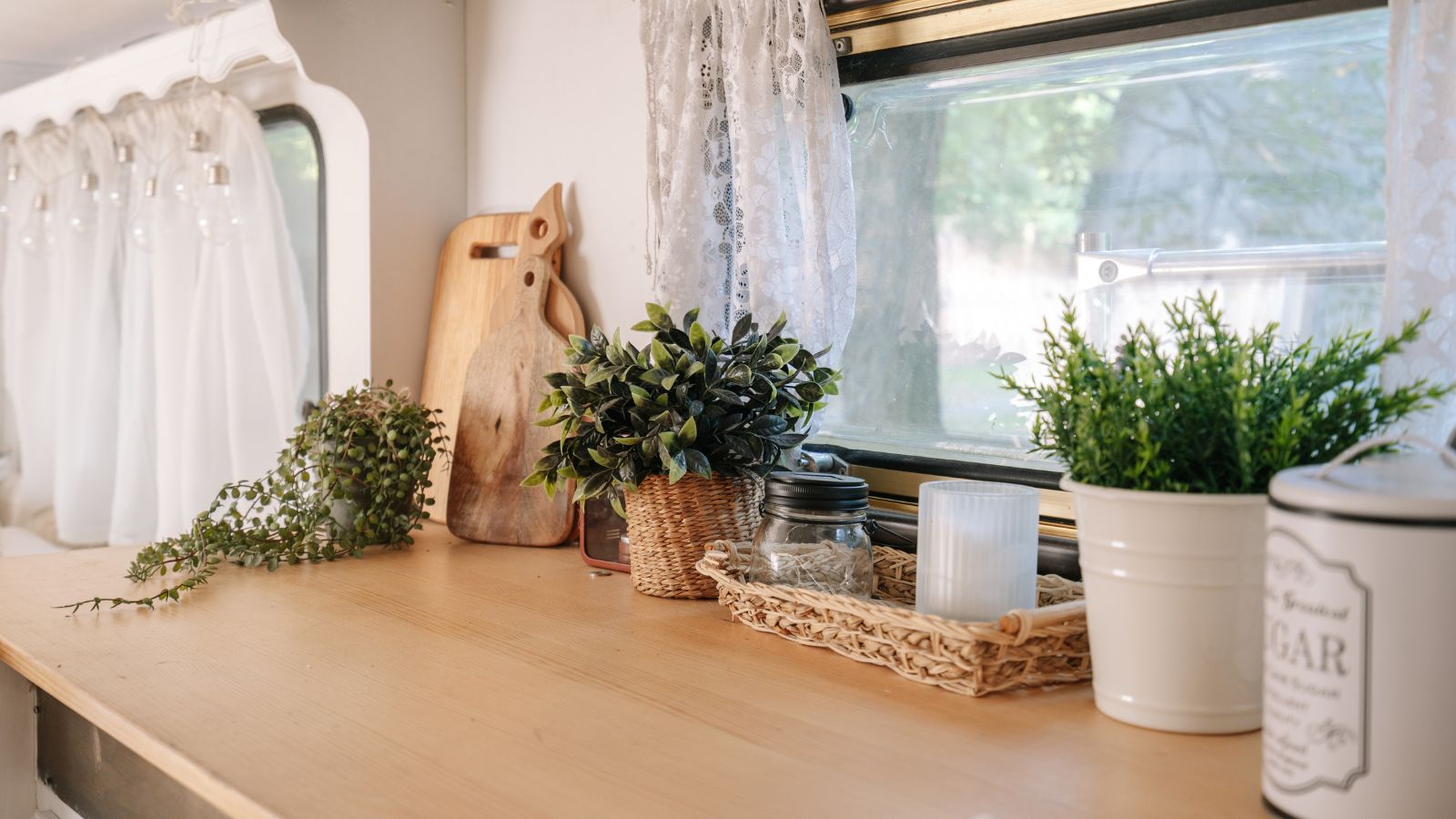Plants placed near the window of a mobile home where the potted greens receive abundant sunlight