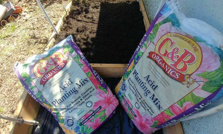 Quality soil for good growth