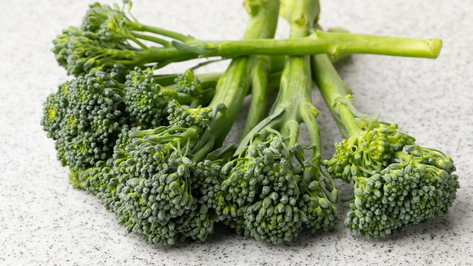 Healthy Aspabroc variety placed in a pile, with the crops having small florets and long stems that have a lovely green hue