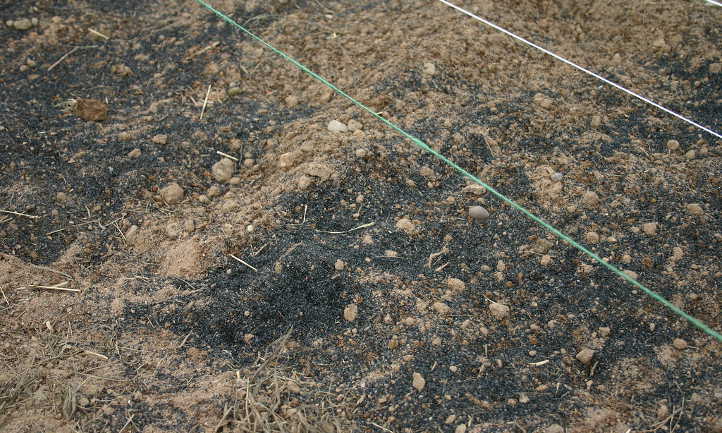 Biochar spread on soil