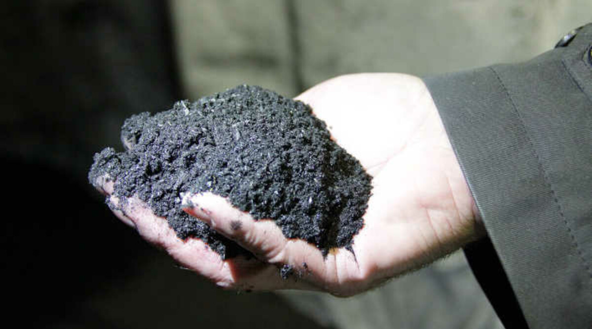 What Is Biochar