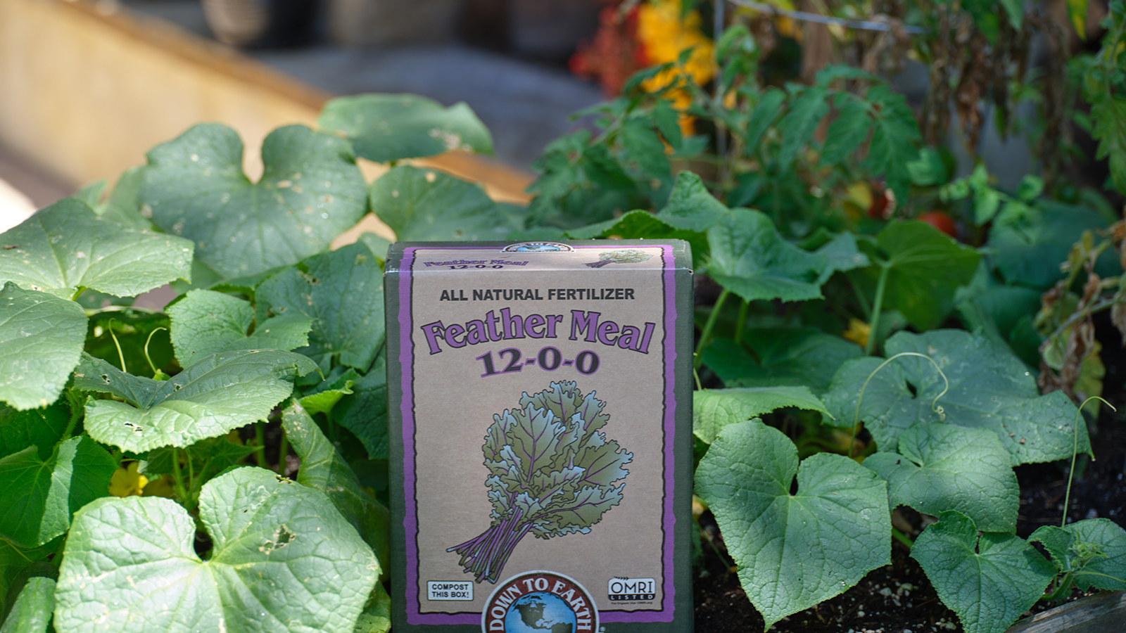A close-up shot of a branded container of soil amendment, placed alongside developing crops