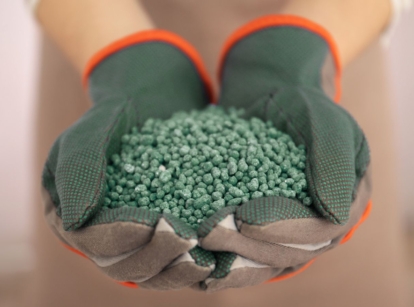 A close-up shot of a person wearing gardening gloves, in the process of holding a small pile of greensand