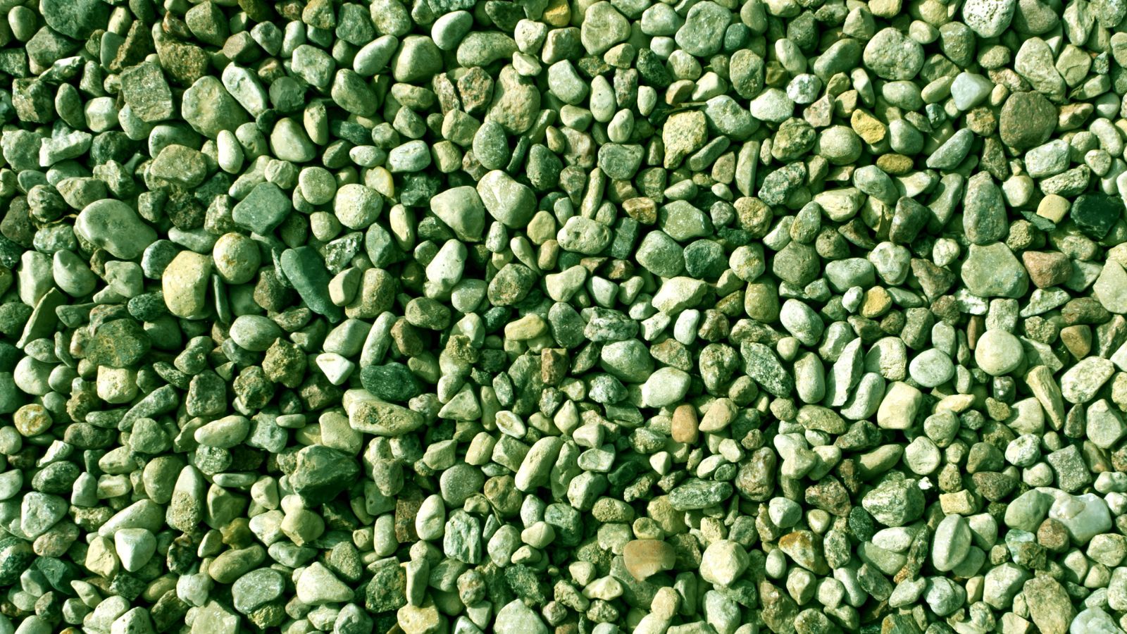 An overhead and close-up shot of green colored pellets of a glauconite, all situated in a well lit area
