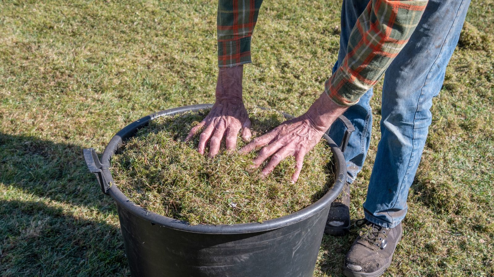 A close-up shot of a person in the process of filling a large bucket with lawn trimmings that will be used to create an organic liquid fertilizer