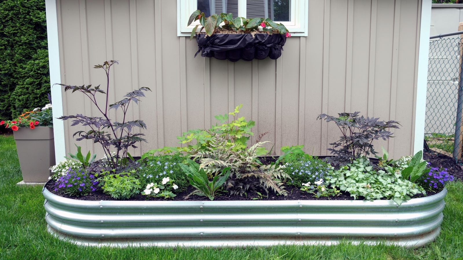 A shot of a metal bed that showcases galvanized steel garden beds safe