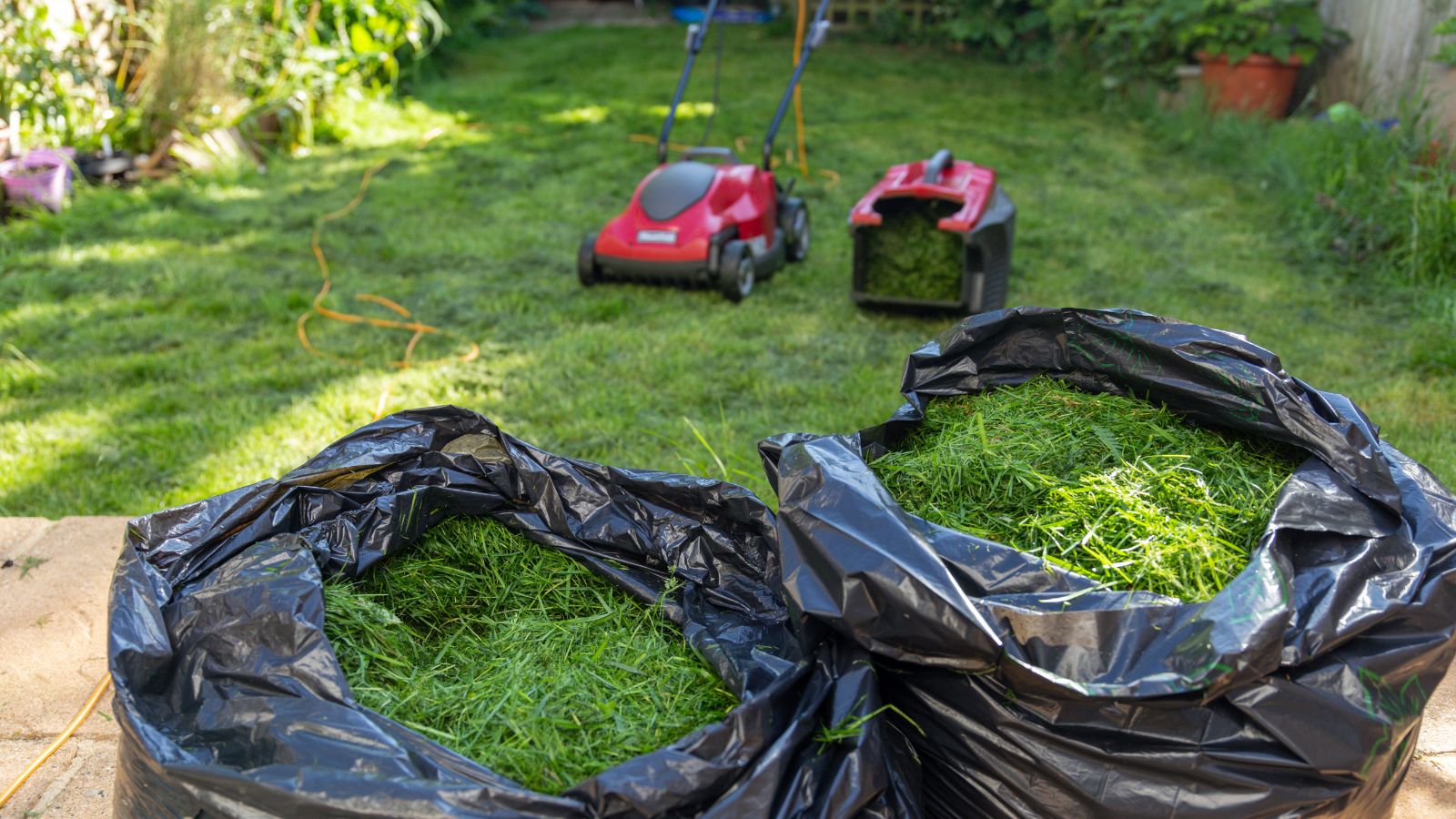 A shot of several black plastic bags filled with trimmings with a lawn mower in the background, all situated in a well lit garden area outdoors