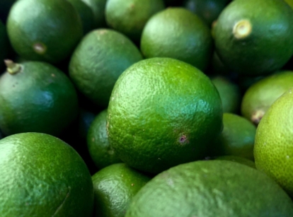A pile of Key Limes from a tree, harvested and placed on top of one another having textured green skin