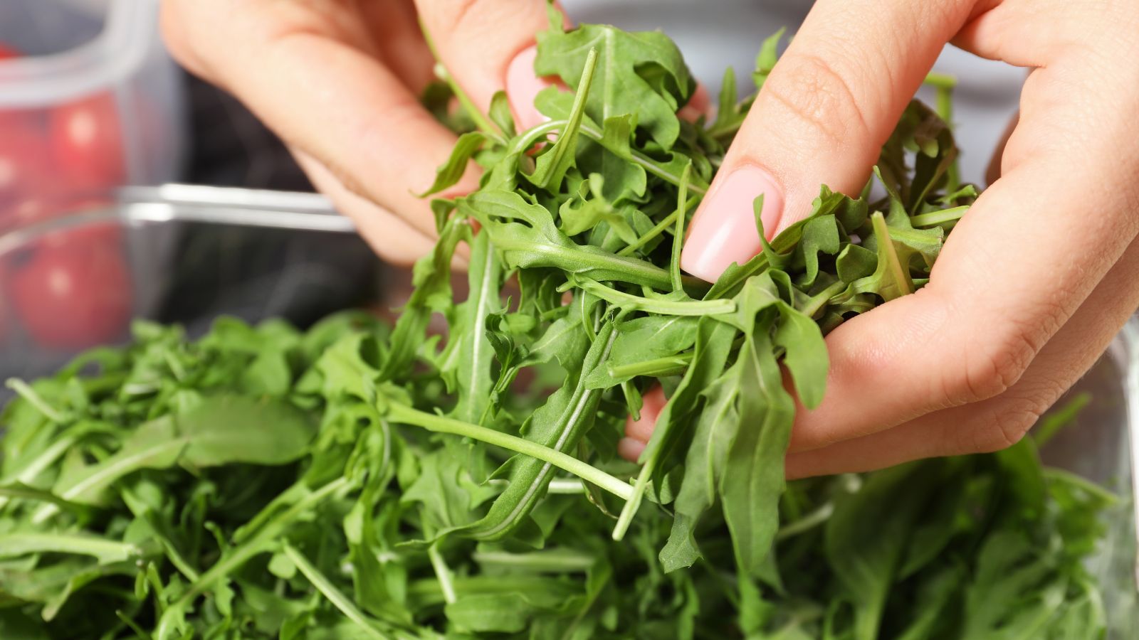 A shot of a person's hand in the process of storing fresh and raw leafy herbs
