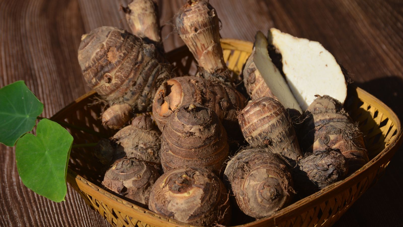 A close-up and overhead a shot of a small pile of freshly harvest taproots of the colocasia, placed on a woven basket, on top of a wooden surface in a well lit area