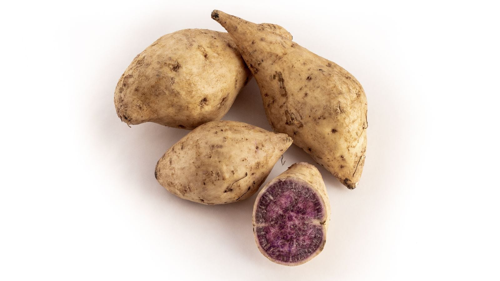 An overhead and close-up shot of a small pile of Okinawa variety of crops, showcasing their light colored skin and dark purple flesh