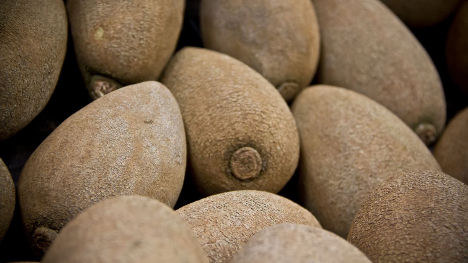 A close-up shot of a small composition of a pile of freshly harvested fruits, all situated in a well lit area outdoors