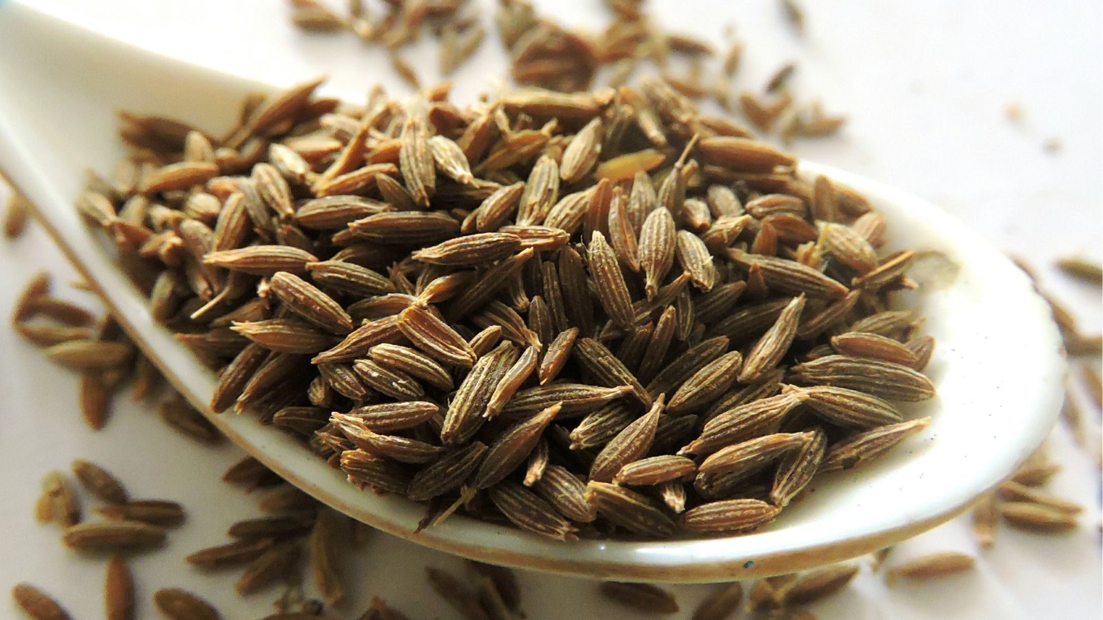 A white spoon with Cuminum cyminum seeds, appearing to be piled on the spoon sitting on a white surface with countless seeds scattered